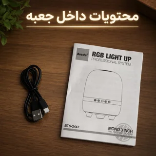 اسپیکر بلوتوثی قابل حمل برودو مدل BTS 2447 102963322